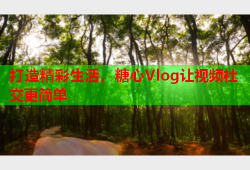 打造精彩生活，糖心Vlog让视频社交更简单